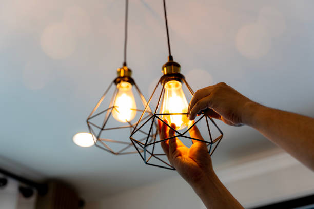 Best Affordable Electrician  in Onsted, MI