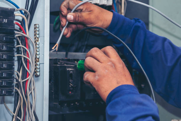 Best Ceiling Fan Installation Electrician  in Onsted, MI